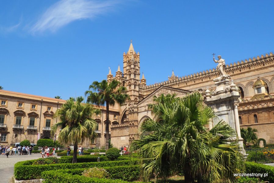 Katedra w Palermo i palmy.